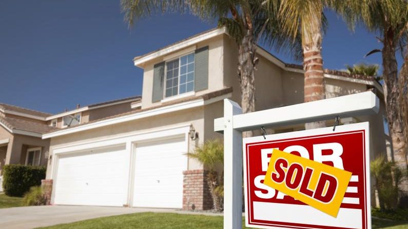 Real-Estate Real-Estate
